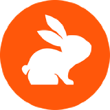 CodeRabbit官方图标