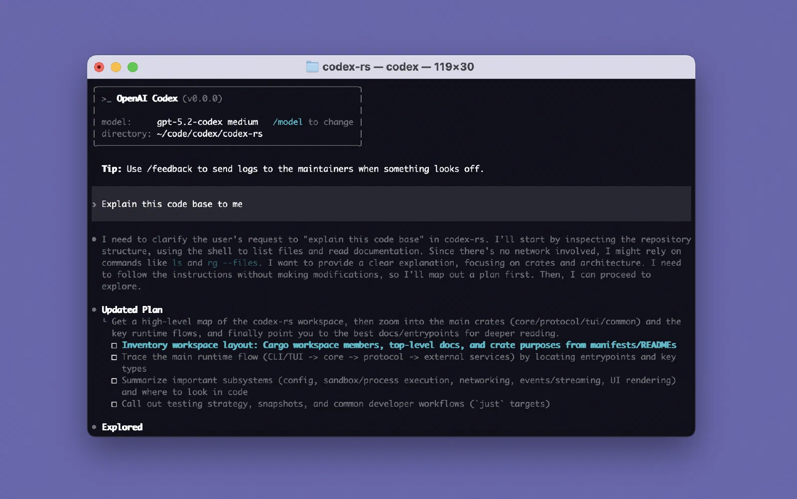 Codex CLI 终端中解释代码库的请求、目录、模型和分步计划
